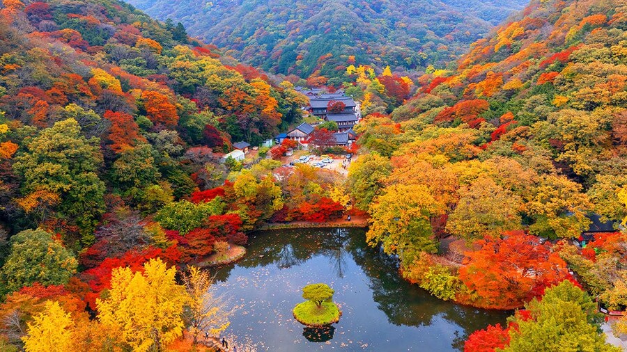 의외로 우리나라가 단풍 맛집이었네_1.jpg