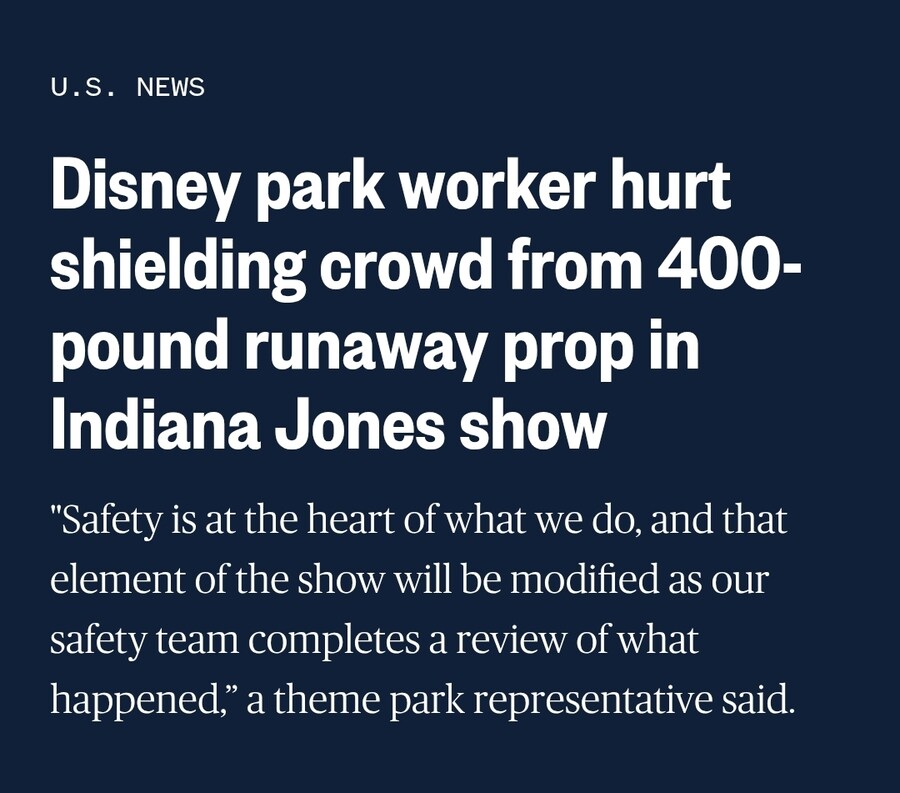 180kg 공에 몸날려 관객 구한 디즈니랜드 직원 ㄷㄷㄷ_1.jpg