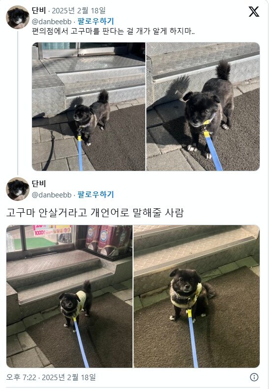 편의점에서 고구마 파는걸 개가 알게하면 안되는 이유_1.jpg