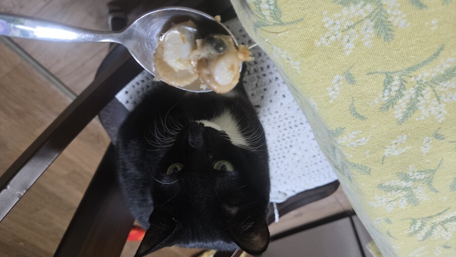 야옹이랑 먹는 가리비새우버터볶음_19.jpg