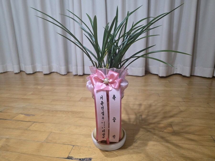 대리 승진해서 회사에서 축하 화분 옴 ㅋㅋ_1.jpg