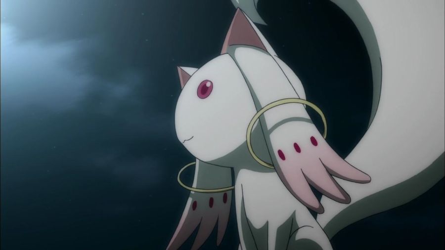 [마도카 외] 엔비 VS 큐베의 2026년 새해 인사_28.jpg