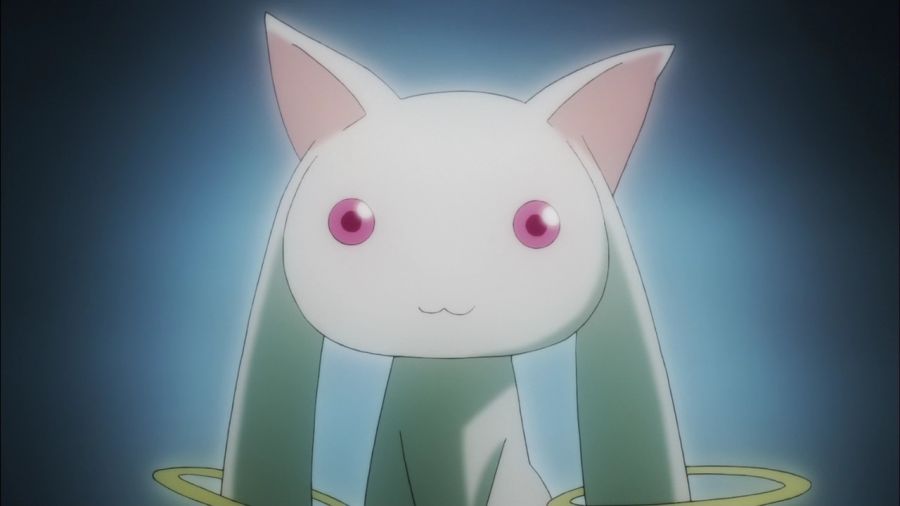 [마도카 외] 엔비 VS 큐베의 2026년 새해 인사_43.jpg