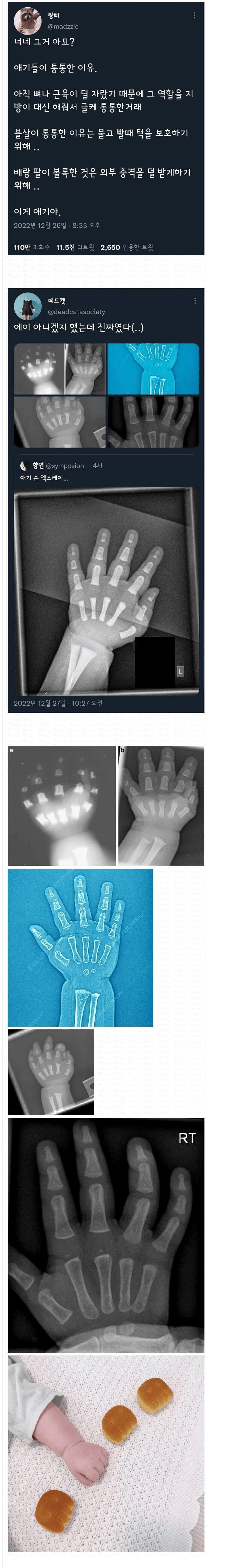애기들이 통통한 이유.jpg_1.jpg