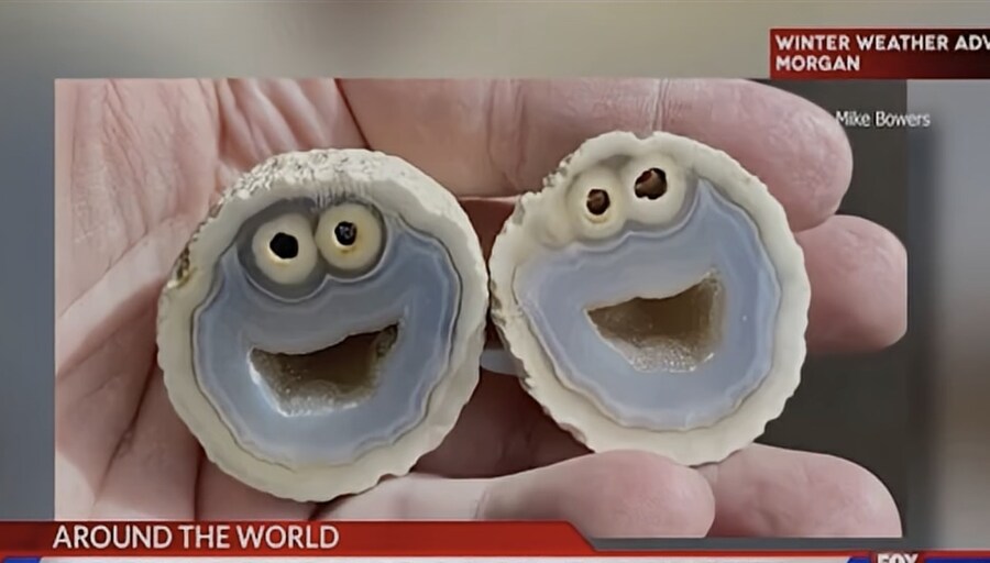 길에서 주운 돌멩이가 1000만원에 팔린 이유.jpg_1.jpg