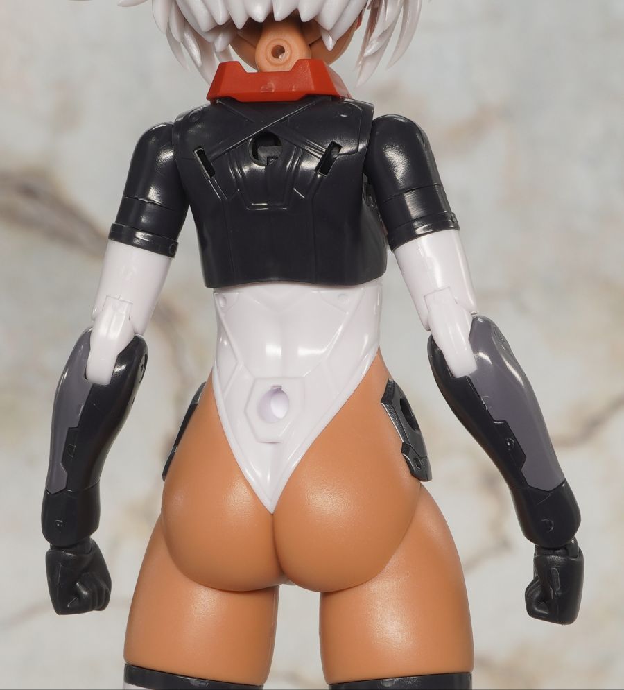 [코토부키야] 프레임 암즈 걸 신겐 해외 리뷰_22.jpg