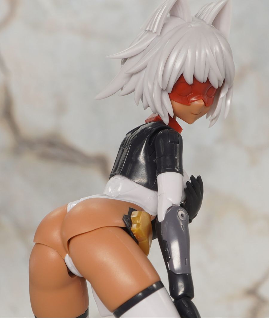 [코토부키야] 프레임 암즈 걸 신겐 해외 리뷰_50.jpg