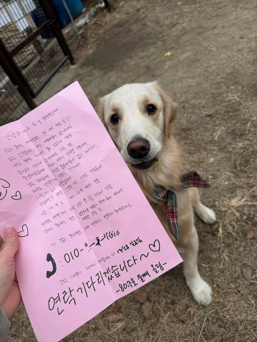 옆집 둘째딸이 제출한 이력서.JPG_2.webp