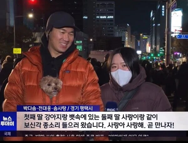 새해 첫 뉴스에 나온 강아지_1.png