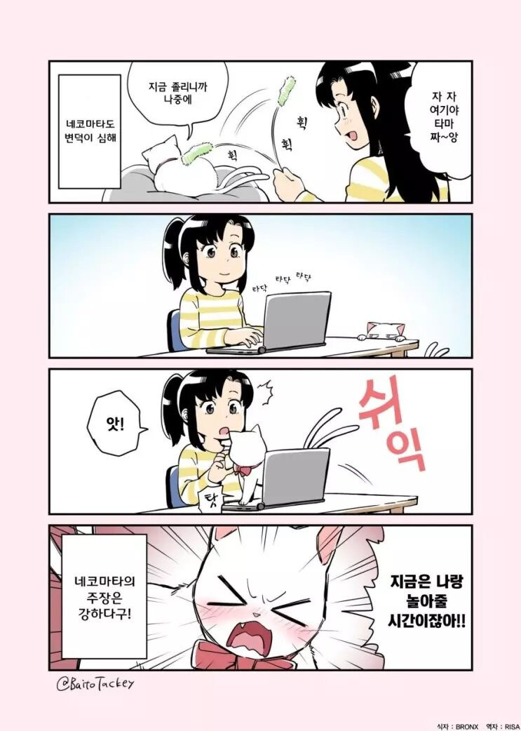 꼬리 둘 달린 고양이 만화_3.jpg