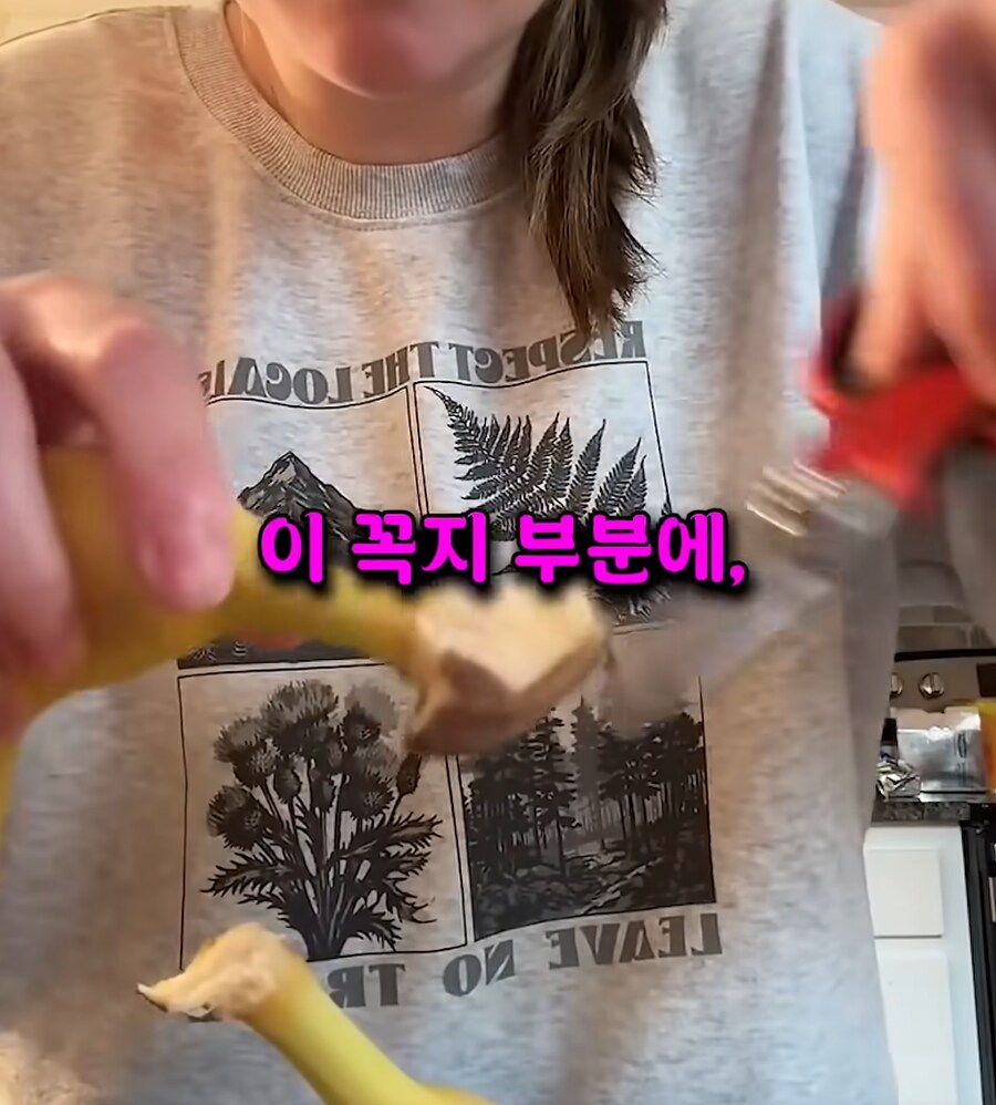 바나나만 사오면 집에 초파리가 나오는 이유.JPG_5.png