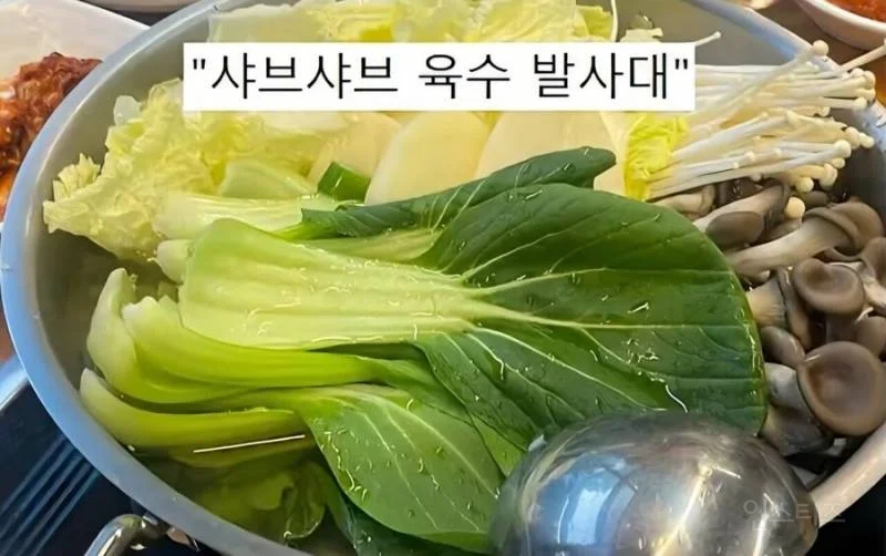 청경채의 모욕적인 별명들_3.webp