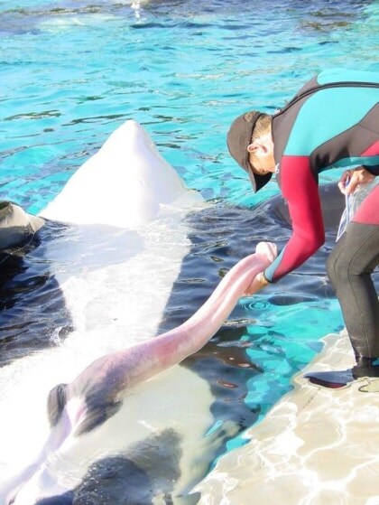 "혹시 대서양이 어느 방향인지 아시나요?"_3.jpg