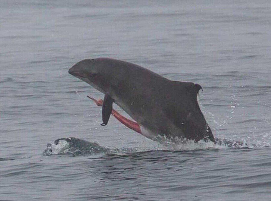 "혹시 대서양이 어느 방향인지 아시나요?"_5.jpg