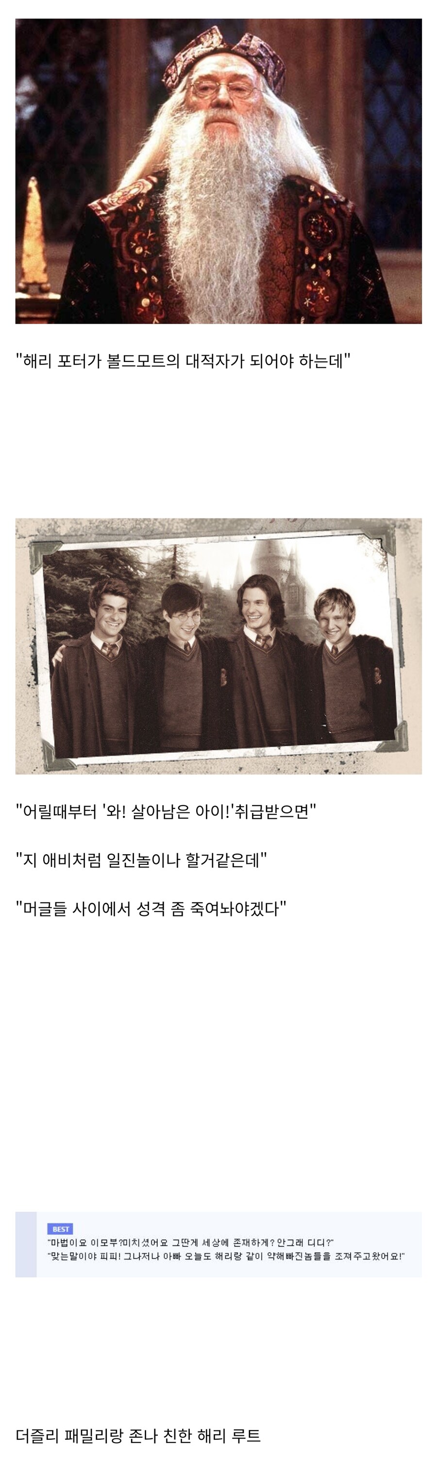 해리포터가 더즐리가에서 가정학대 없이 행복하게 자란 세계선_2.png