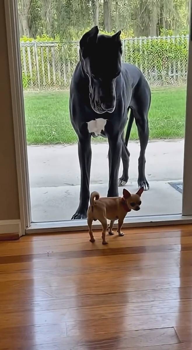 여친앞에서 허세부릴려고 시비건 인간_3.jpg