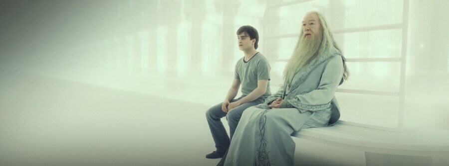 해리포터) 볼드모트의 비참한 과거에 분노하는 해리_1.jpg