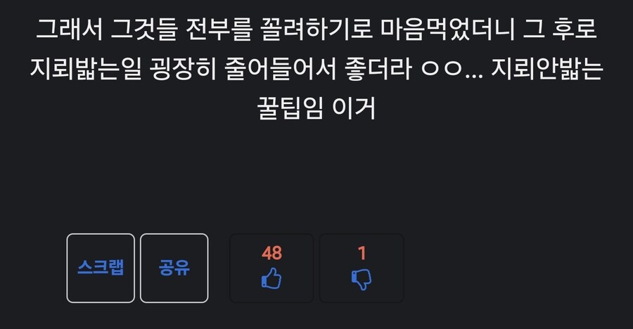 어느 유게이 꿀팁_2.jpg