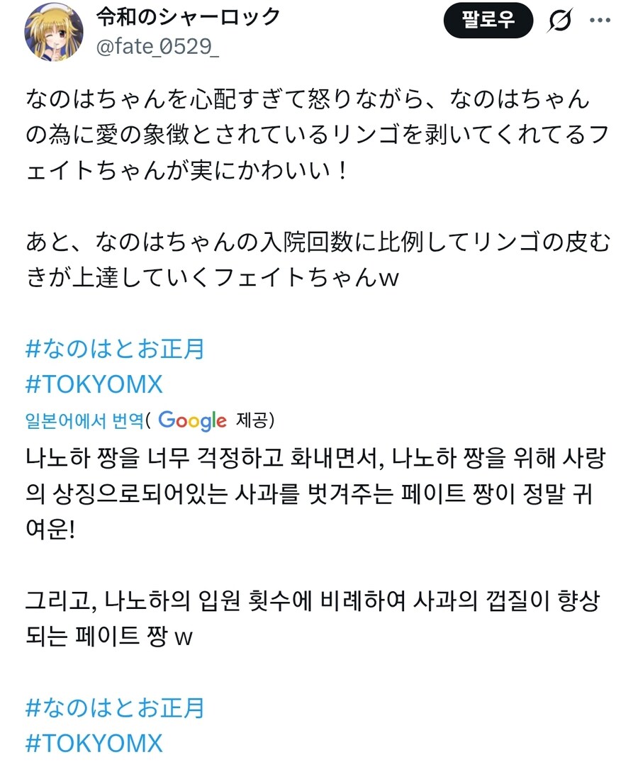 나노하 시리즈의 요조숙녀 그잡채_1.jpg