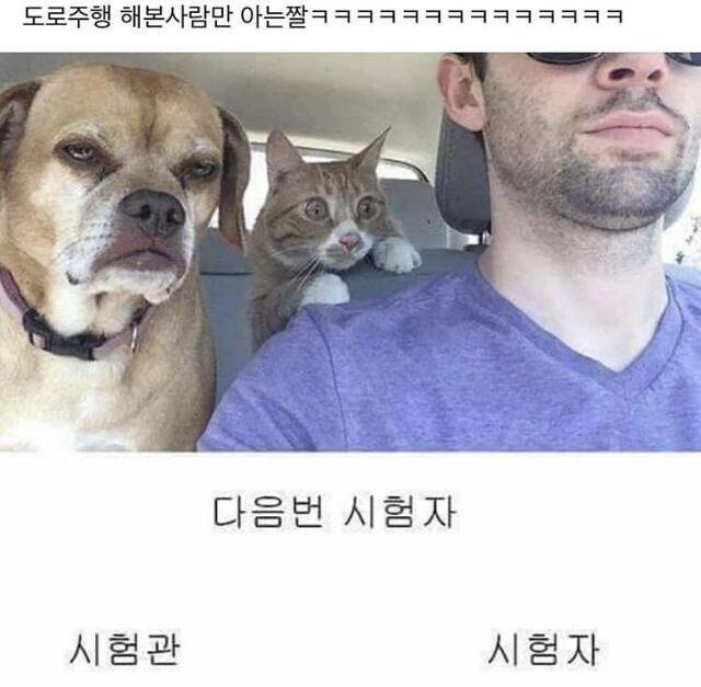 도로주행 시험 쳐본사람만 아는 짤.jpg_1.jpg