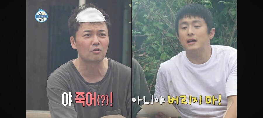 기안84 강인한 면역력의 비밀.jpg_3.jpg