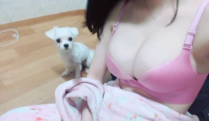 초커여운 말티즈 짤_1.jpg