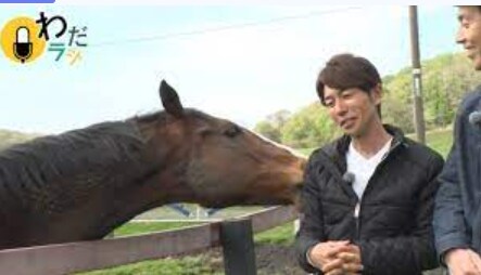 진짜 뜬금 없이 등장해 대기록을 막은 경주마_5.png