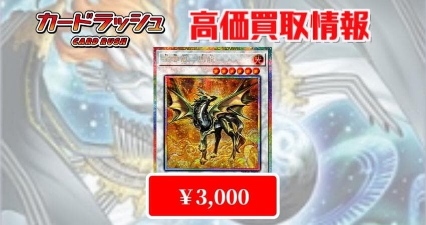 오늘의 카드 주식_1.jpg