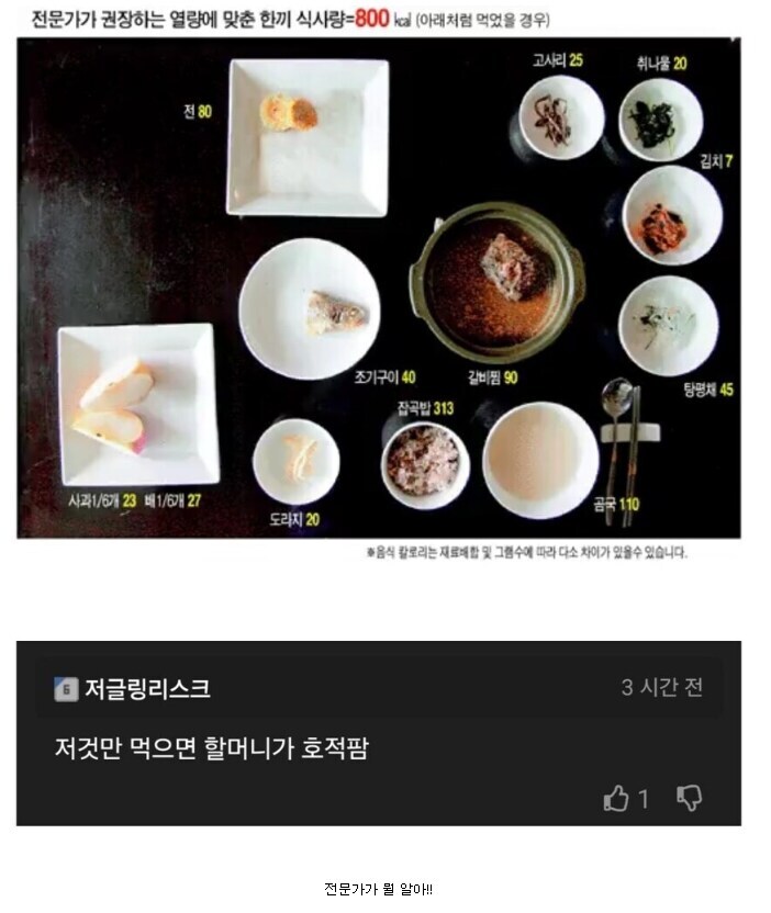 전문가피셜 하루 한끼 권장량.jpg_1.jpg