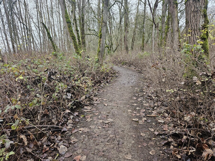 차마시고 하이킹하러 나왔는데_1.jpg