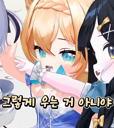 (버튜버) 미녕이 : 아니야. 그렇게 우는거 아니야._3.png