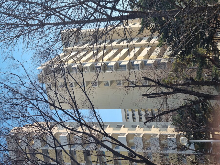 청량(경동)시장+ 월계 트레이더스_13.jpg