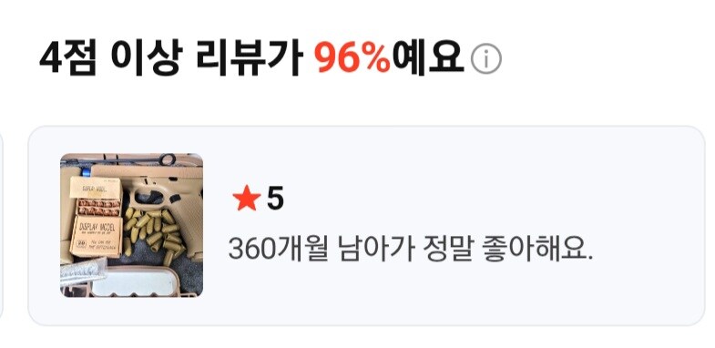 모델건 리뷰 보는데_1.jpg