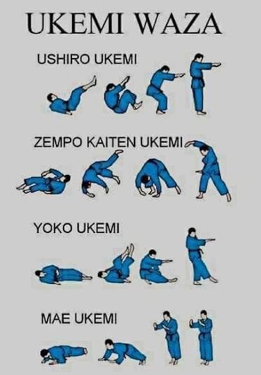 유도가 최고로 실전에서 효과적인 격투기인 이유..._1.jpg