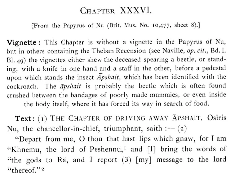 이집트 사자의 서에 적힌 제 36의 마법_2.webp