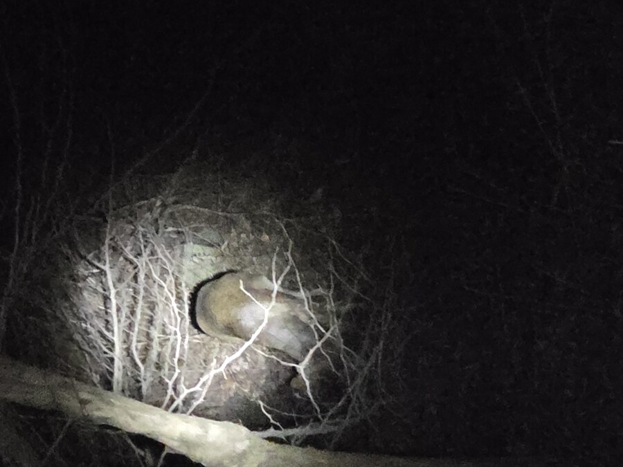 의외로 회사에서 밤에 일하면 볼수있는것_1.jpg