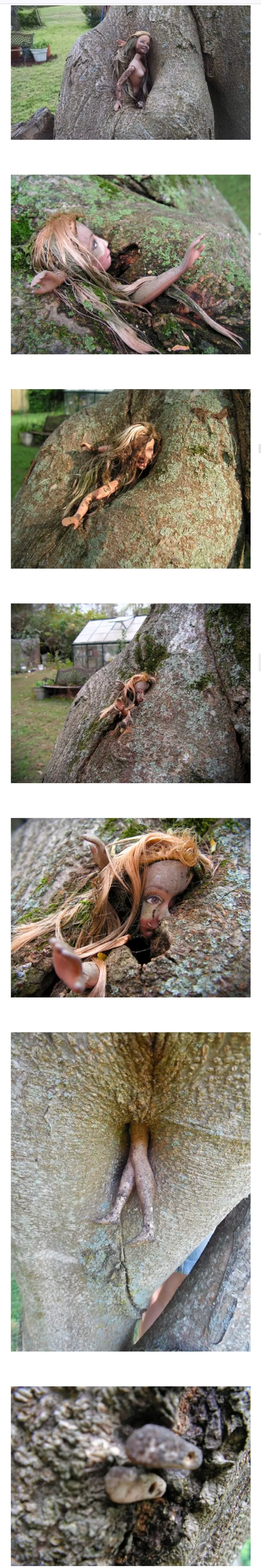 손녀가 나무에 놔두고 간 인형_1.webp