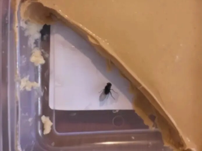 AI 조작 사진으로 환불 요구하는 수법이 외국에 기승_1.png