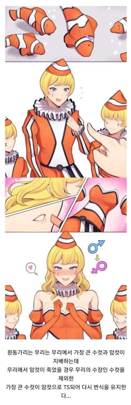 어느 무리에서 가장 수컷다운 개체의 역할_1.webp