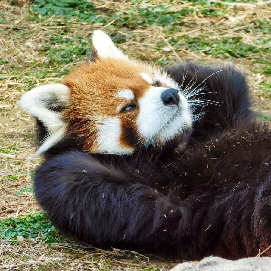 지금 넷플릭스 한국 영화 2위인 이 영화 아시나요?.movie_4.jpg