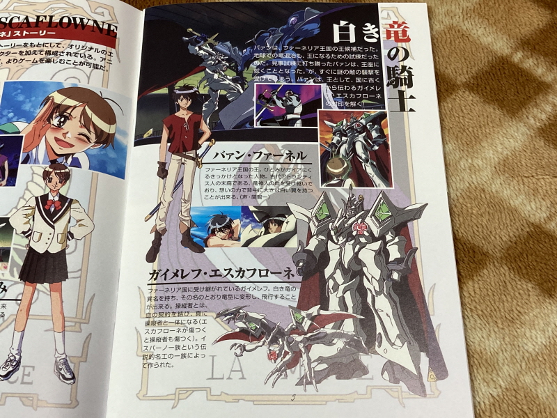 천공의 에스카플로네 (天空のエスカフローネ) 리미티드 에디션_39.jpg