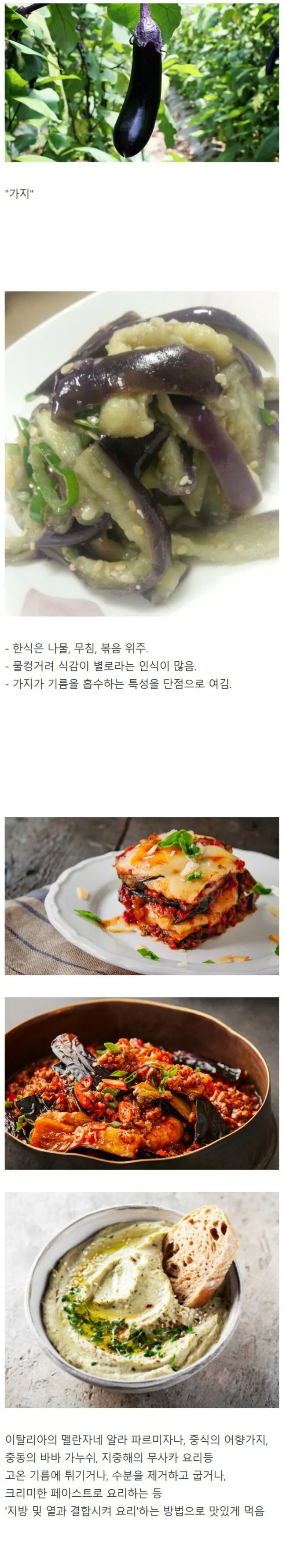 한국 음식이 유독 맛을 못 살린다는 식재료_1.webp