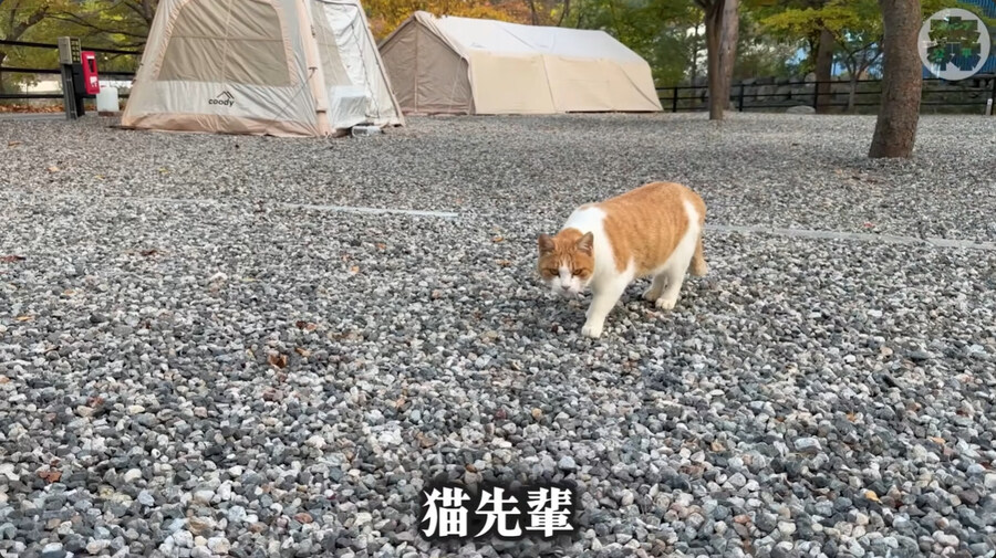 한국에 놀러온 일본인 바이커_58.jpg