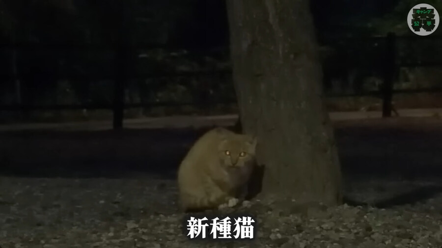 한국에 놀러온 일본인 바이커_89.jpg