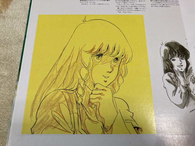 마크로스 더 무비 퍼펙트 에디션 (the MOVIE Perfect Edition)_164.jpg