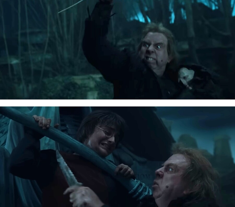 해리포터) 의외로 영화판에서 피해를 심하게 본 악역_2.jpg
