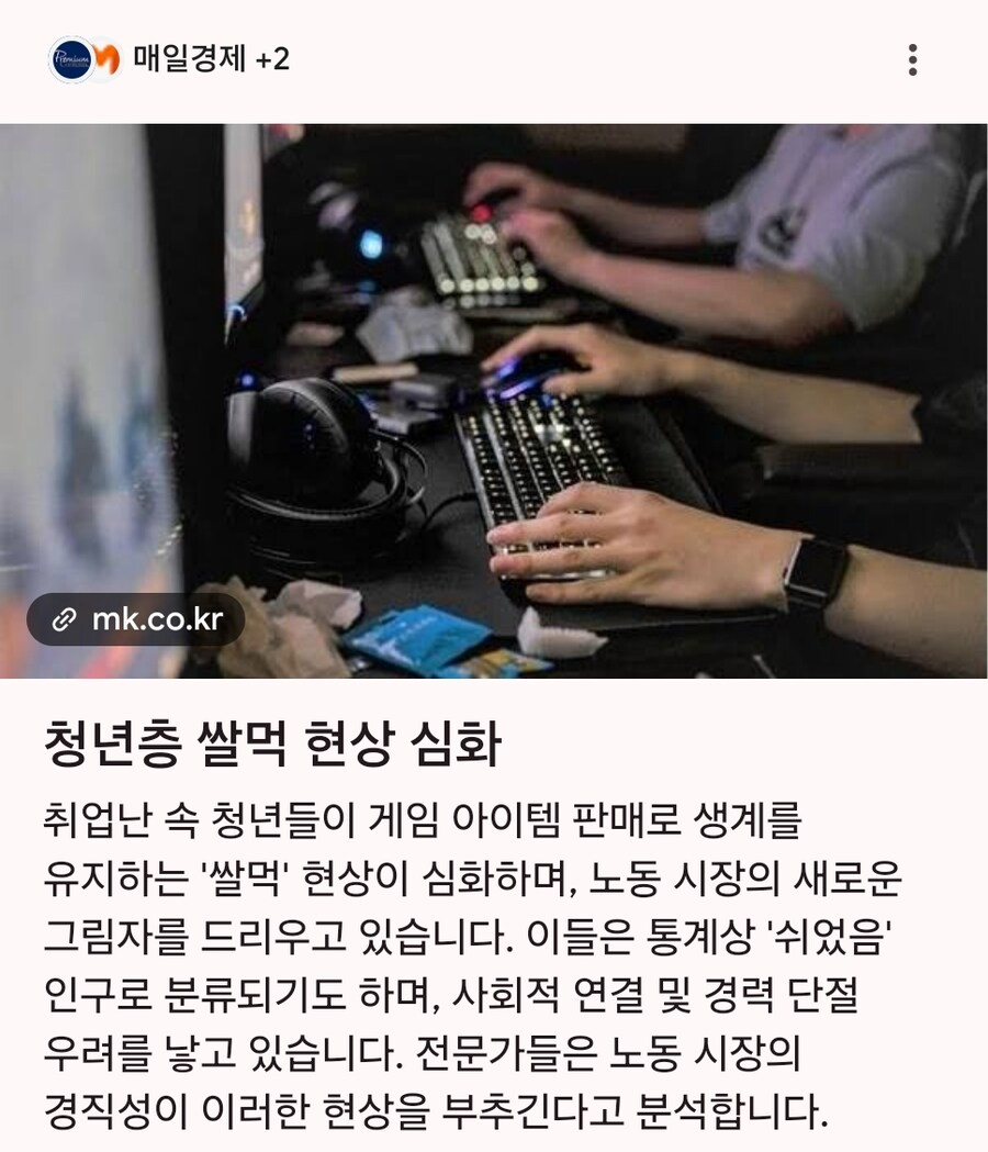 요즘 언론들이 쉬었음 청년 대신 밀고 있는 워딩_2.jpg