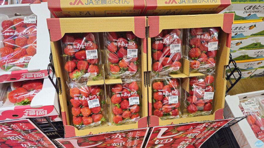 무인 호텔이 좋구만요.. 후쿠오카 1일차_92.jpg