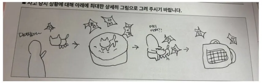 펫보험 청구하는데 그림 그리래_1.webp