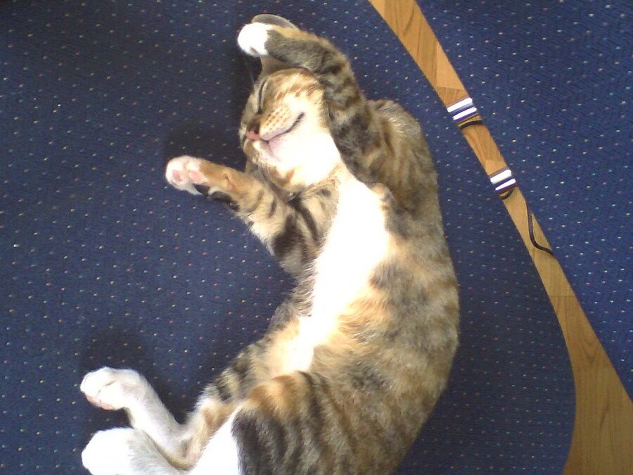 [26학번 새내기] 안녕하새오~ 새내기애오_5.jpg